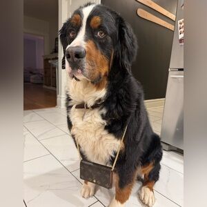 Louis Vuitton Tresor Wallet-Preloved
In great condition 
Authentic